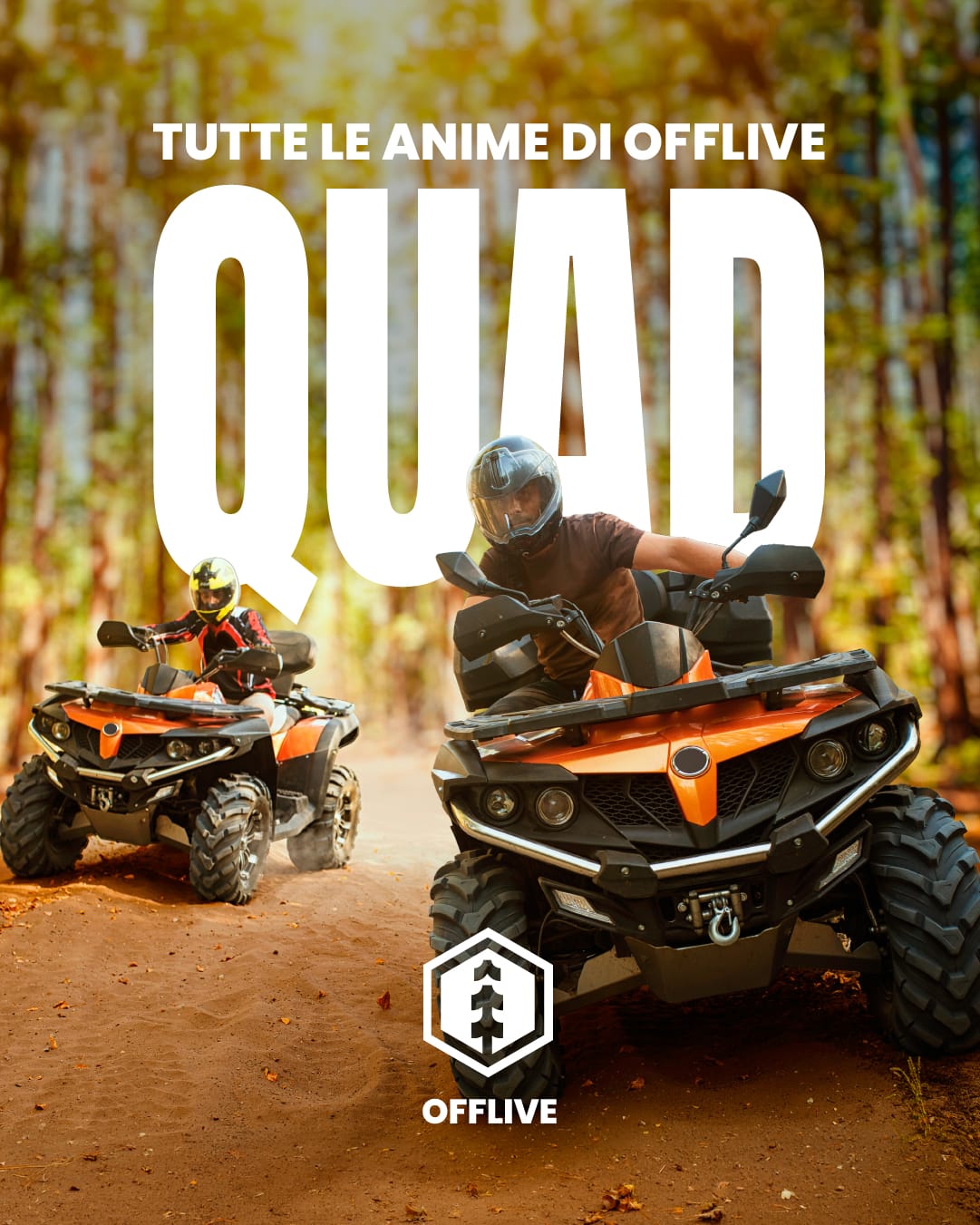 quad-6.jpg